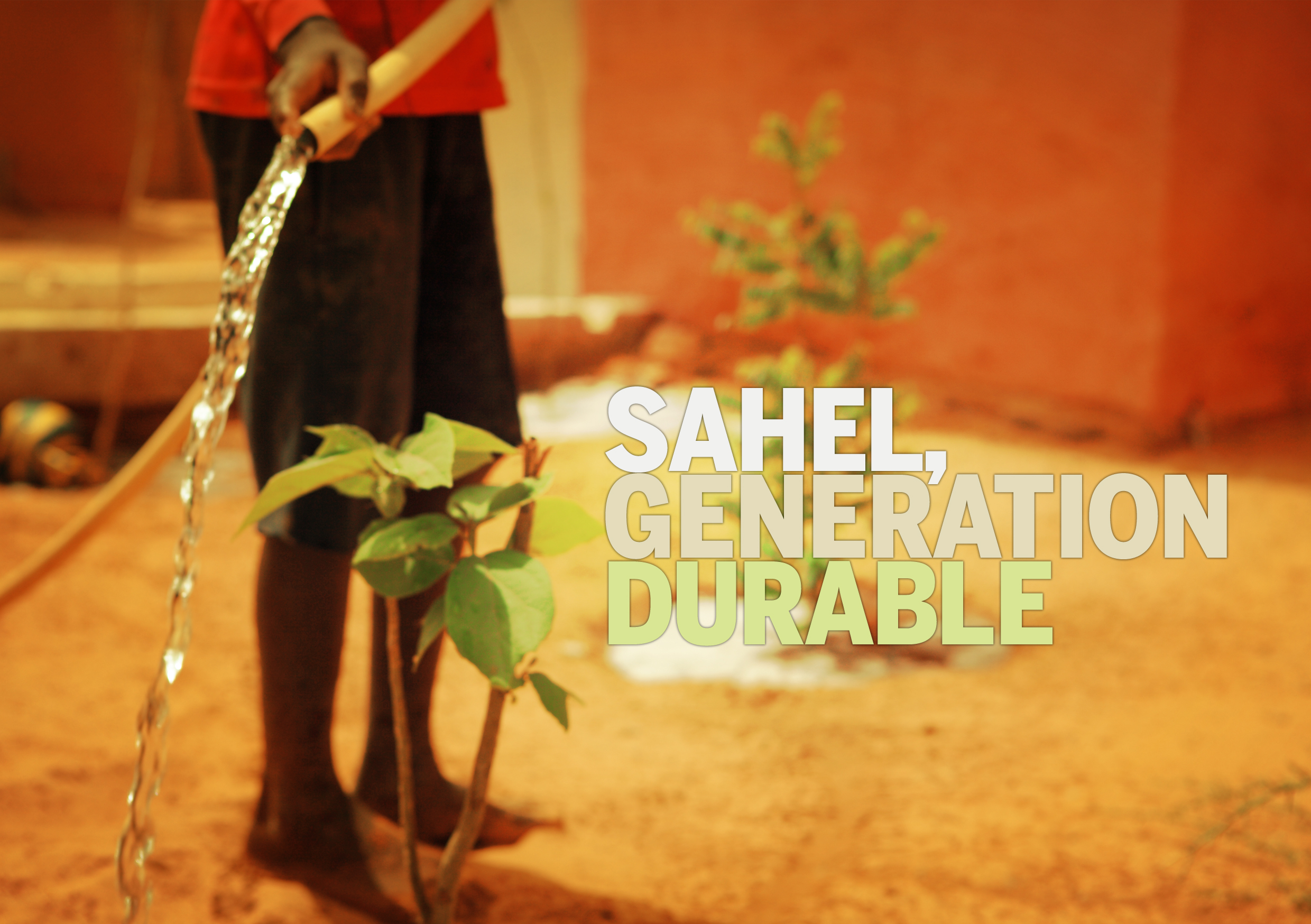 Sahel, génération durable