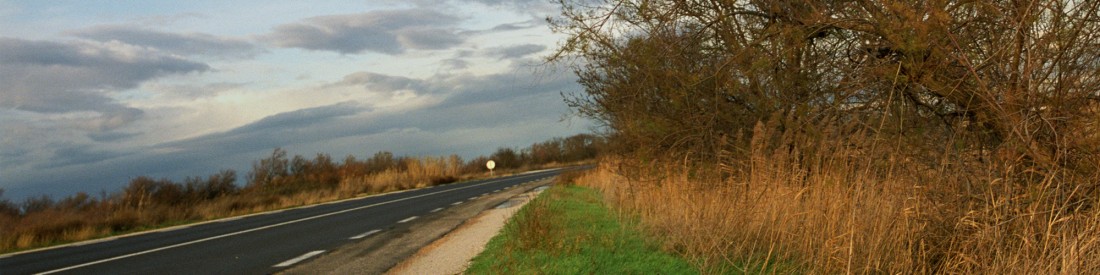 TOURS DE FRANCE