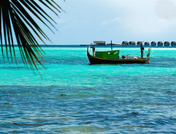 Carte postale du paradis