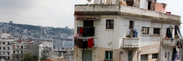 un Ã©tÃ© Ã  alger